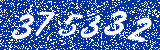 Capcha image