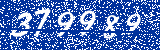 Capcha image
